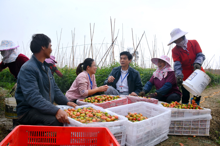 城厢：一线监督护航民利