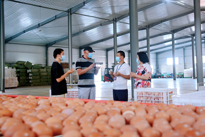 城厢：聚焦特色产业监督 赋能乡村振兴