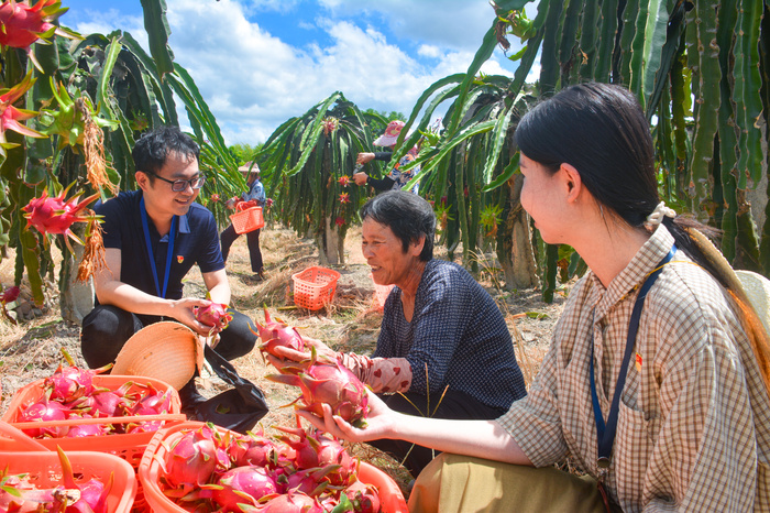 城厢：一线调研 推动解决群众“急难愁盼”