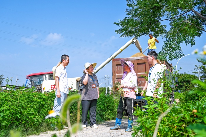 城厢：一线监督  保障粮食安全