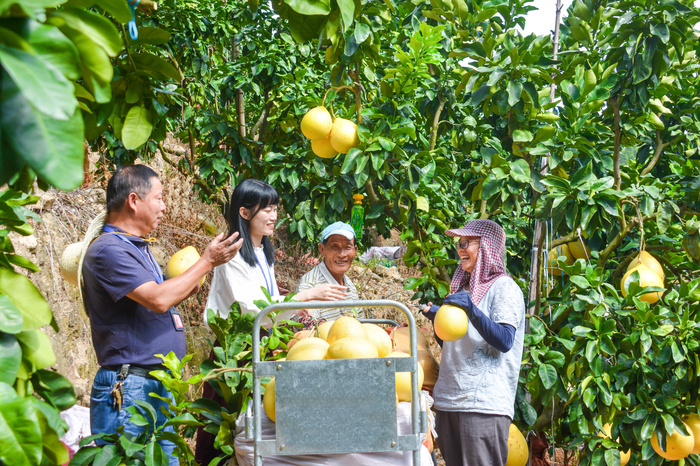 城厢： 靶向监督 助力乡村振兴