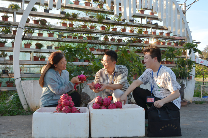 秀屿：监督护航乡村振兴高质量发展